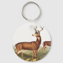 Search for mammals key rings Wildlife