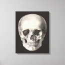 Search for skull canvas prints Antique