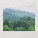 Search for brook postcards Trees