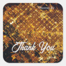 Search for nasa stickers Iss