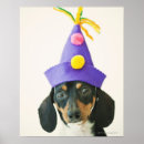 Search for funny dog posters Animal