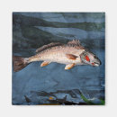 Search for bass magnets Winslow homer