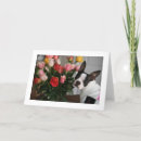 Search for boston terrier valentines day cards Puppy