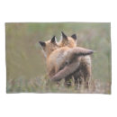 Search for foxes pillowcases Nature