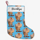 Search for squirrel christmas stockings Rodent