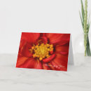Search for think cards Floral