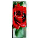 Search for red roses gift bags Floral