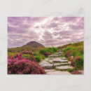 Search for scenics postcards Nature