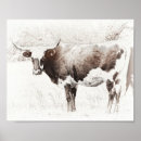Search for cow art Photography