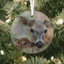 Search for fawn deer christmas tree decorations Animals in the wild