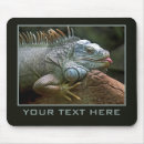 Search for iguana mousepads Lizard