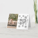 Search for bichon christmas cards Frise
