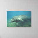 Search for endangered animals art Ocean