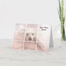 Search for dog get well cards Canine