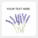 Search for lavender flower stickers Herb