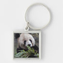 Search for china panda key rings Black and white