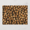 Search for spices postcards Spiced