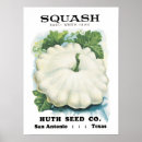 Search for squash posters Vintage