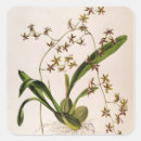 Search for square root stickers Flowers