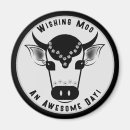 Search for awesome magnets Beautiful