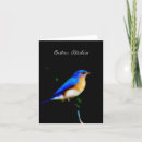 Search for tail feathers cards Blue