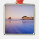 Search for waves christmas tree decorations Travel