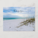 Search for oats postcards Florida