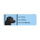 Search for labrador puppy return address labels Black lab