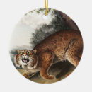 Search for wild cat lynx Vintage