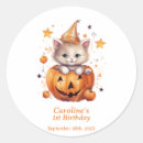 Search for surprised stickers Cat
