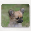 Search for long haired dog mousepads Puppy