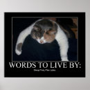 Search for procrastination art Cat