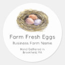 Search for hatchery Hen