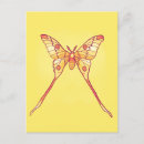 Search for luna moth postcards Butterfly