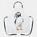 Search for puffin aprons Nature