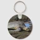 Search for hawaiian sea turtle key rings Honu