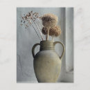 Search for dried flowers postcards Garden