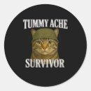 Search for tummy stickers Kitten