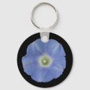 Search for glories round key rings Nature