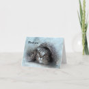 Search for kitties cards Feline
