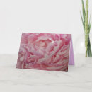 Search for peony birthday cards Pink