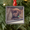 Search for labrador retriever christmas tree decorations Cute