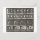 Search for bucket photography Eadweard