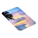 Search for maldives magnets Palm