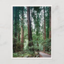 Search for bay area postcards Travel