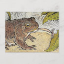 Search for vintage frog postcards Book