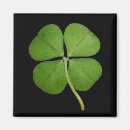 Search for lucky charm magnets Shamrock