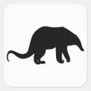Search for anteaters stickers Wildlife