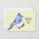Search for blue jay cards Animal