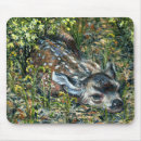 Search for cute fawn electronics Animals
